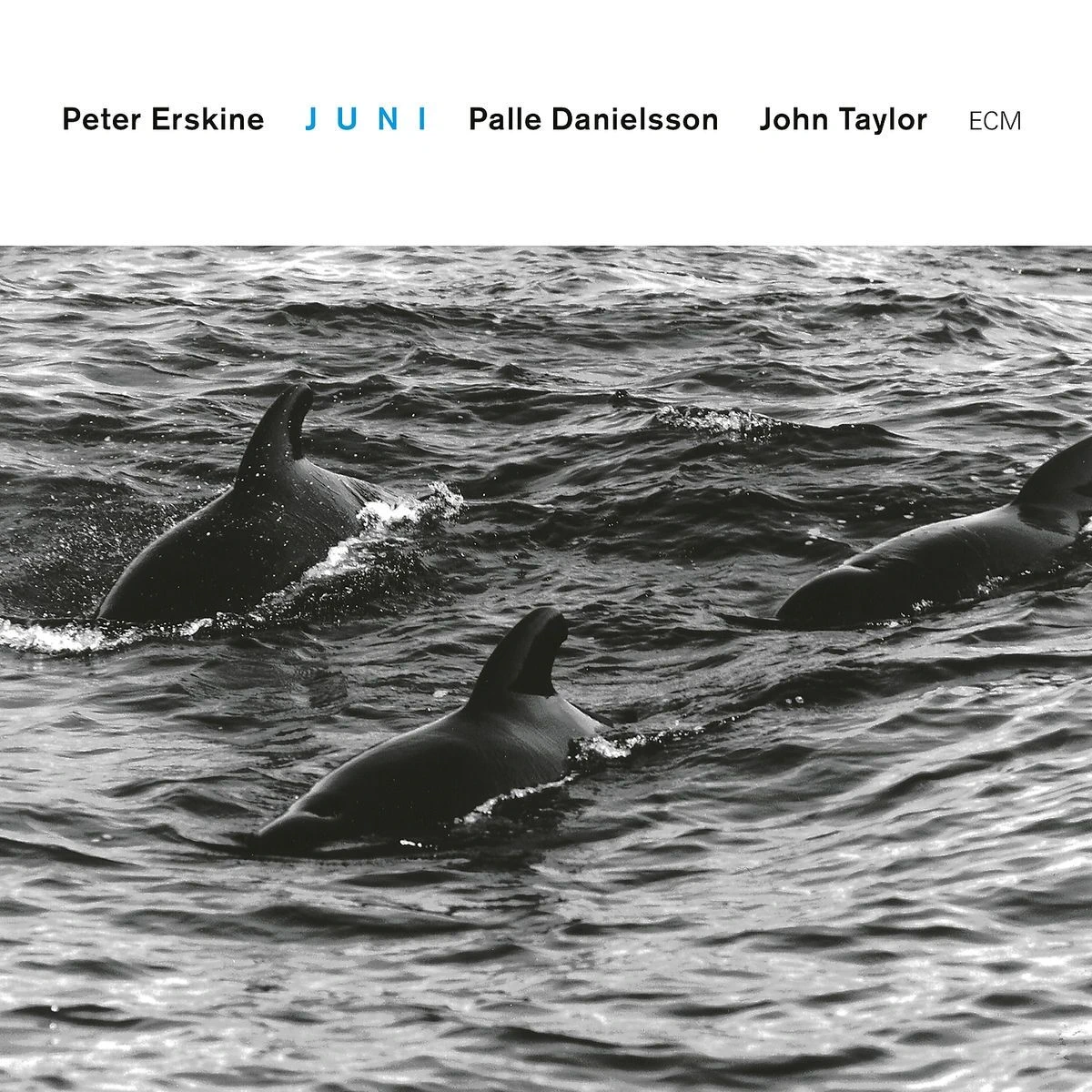 wr-0602567434818 Erskine - Juni Музыкальный CD диск фото купить