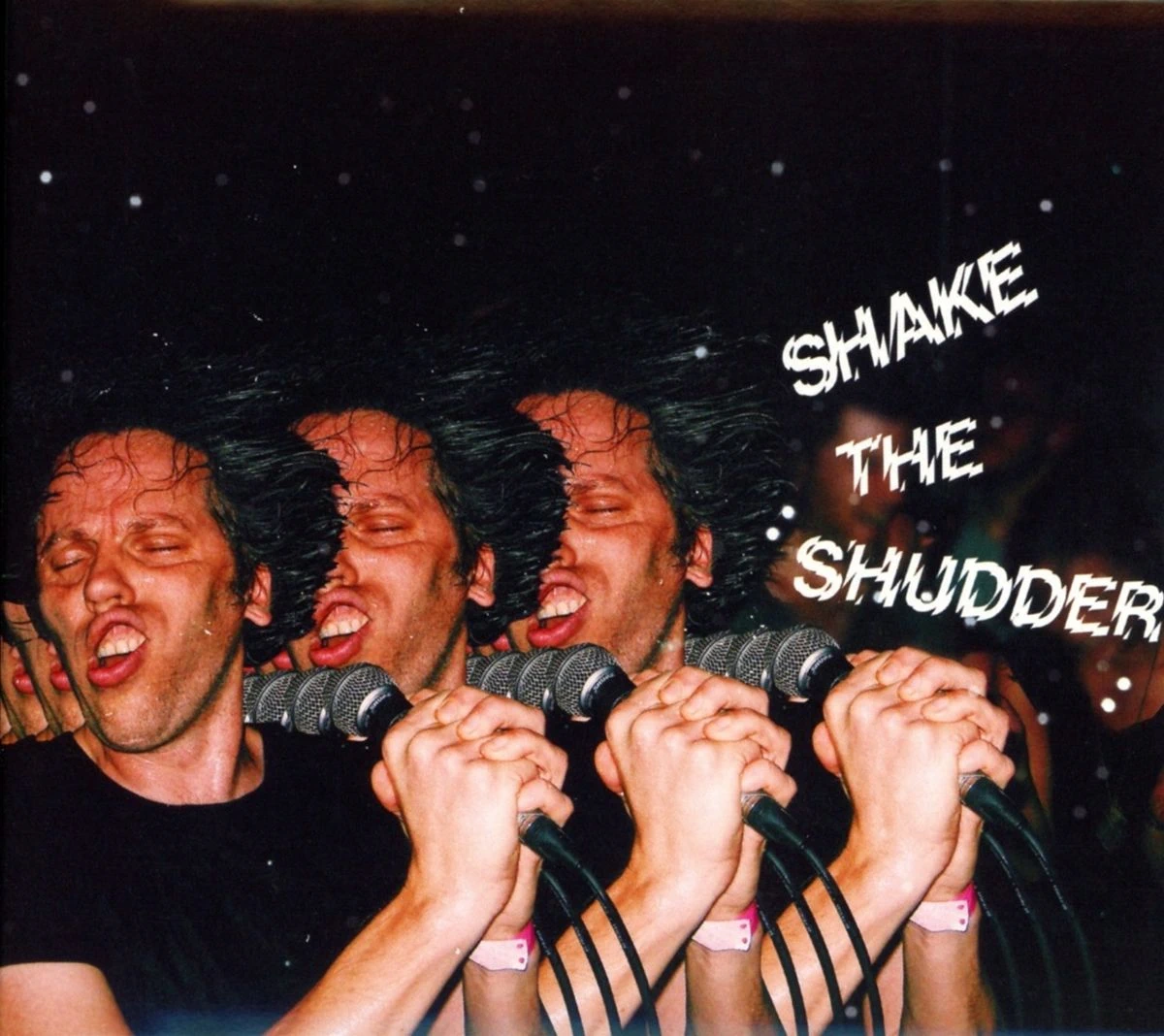 wr-0801061028329_1.webp !!! (Chk Chk Chk) - Shake The Shudder (CD) 2017, Digipack, CD диск фото купить